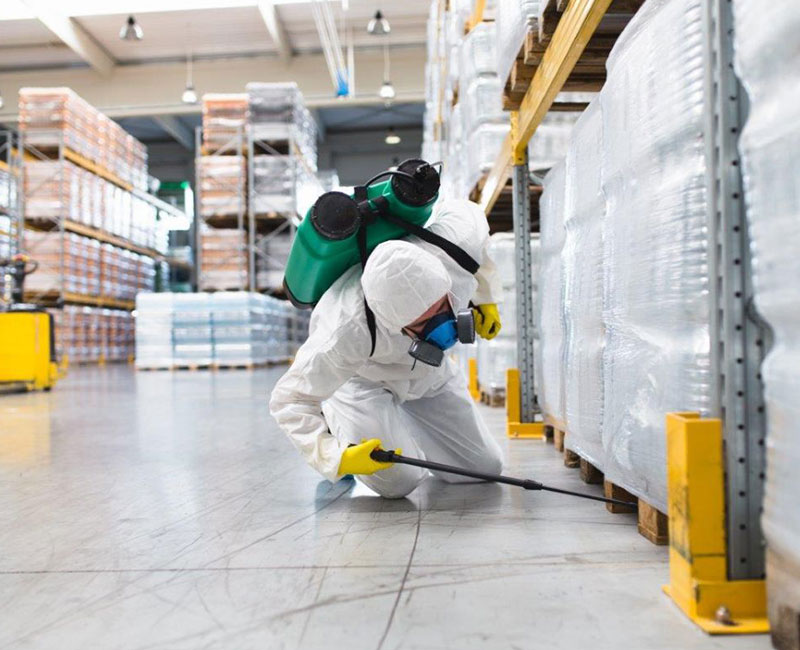 Commercial Pest Control