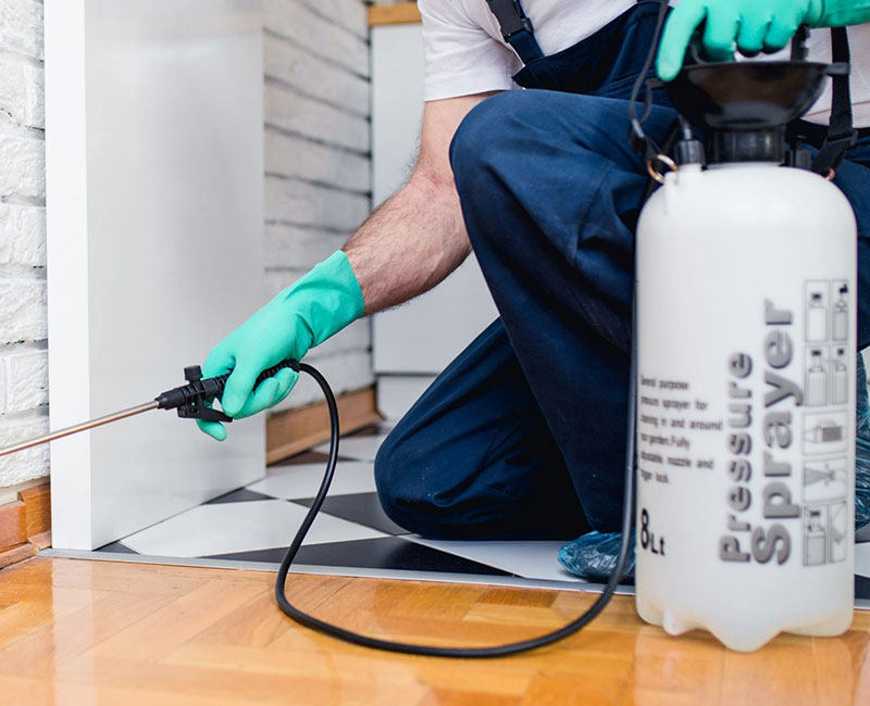 Residential Pest Control